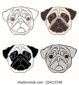 Vector set of  pug's face. Hand-drawn vector illustration. Sketch, four variants.