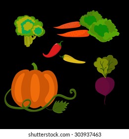 Vector set with pumpkin, beets, carrots, broccoli and peppers