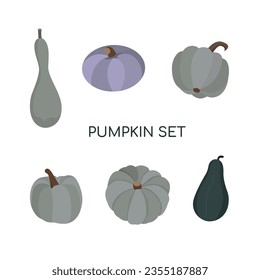Vector Set of Pumpkins in Flat Style.   Autumn thanksgiving and halloween pumpkins collection