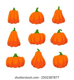 Vector conjunto de calabazas, calabazas de Halloween, cosecha de otoño. Colección de calabaza de otoño para halloween. Uso para pegatinas, carteles e impresiones.