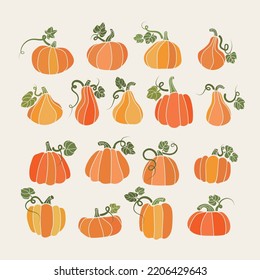 Vector set of pumpkins in various shapes.   Elements for autumn decorative design with Thanksgiving and Halloween Elements.