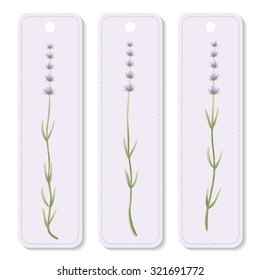 Vector set purple cards with lavender. Use as a label, tag or ticket. Eps 10.
