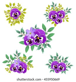 Vector set with purple flowers and green leaves. Design elements with pansies.