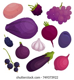 Vector set of purple food . Violet vegetables, fruits and berries.