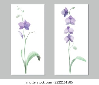 Conjunto vectorial de orquídeas de color morado