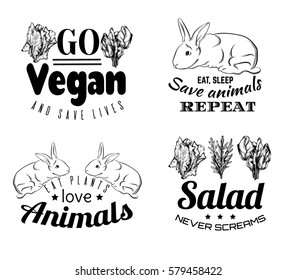 Vector set of quote typographical background for vegan. Hand drawn illustration of cute rabbit and sketches of salad.  Template for card, poster, banner, print for t-shirt.