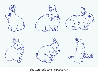 Vector set of rabbits