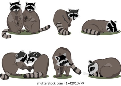 Vector set of raccoons in different poses. Illustration of raccoons with different emotions