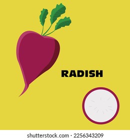 vector set of radish with green color, for teaching, illustration, banner, flyer, and other comercial use