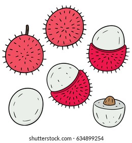vector set of rambutan