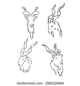 vector set of rams, male of sheep, hand drawn sketch of animals isolated at white background