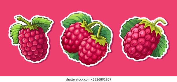 Vector set raspberry sticker isolated on white. Cartoon flat style. illustration Red yammi berry with green leaves Healthy diet vegetarian eco food. Decoration for packaging, menu etc
