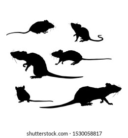 Vector Set of Rats and Mouses Black Silhouettes on Isolated White Background