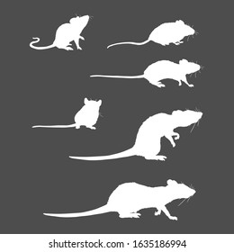 Vector Set of Rats and Mouses White Silhouettes on Black Background
