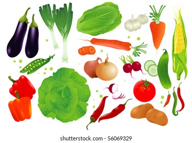 Vector set of raw vegetables.