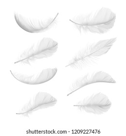 Vector set of realistic bird feathers in various positions and angles isolated on white background