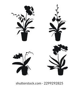 Vector set of realistic flowers orchids, phalaenopsis. Realism modern silhouettes plants pot. Flat design template. 