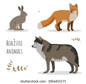 Vector Set Of Realistic Forest Animals - Fox, Wolf And Hare.