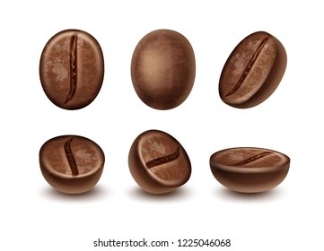 Vector set of realistic fresh roasted coffee beans close-up in different positions isolated on white background