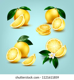 Vector set of realistic fresh whole and slices of lemons citrus fruit and half with leaves and flower isolated on background