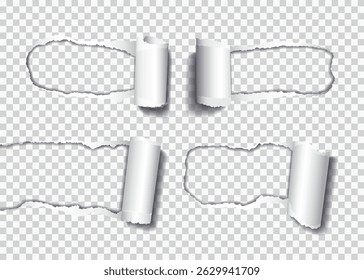 Vector set of realistic holes torn in paper with rolled edge and shadows on transparent background