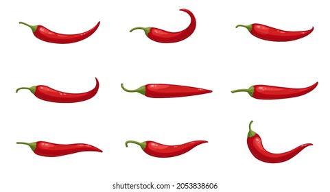 Vector set of realistic hot chilli peppers, large chilly pepper collection isolated on white. Flat vector illustration, cartoon style vegetables. 