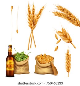 Vector set realistic icons canvas bags full of barley grains and hop cones, spikes and glass bottle of beer. The concept of brewing, craft beer