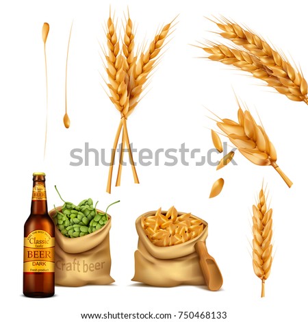 Vector set realistic icons canvas bags full of barley grains and hop cones, spikes and glass bottle of beer. The concept of brewing, craft beer