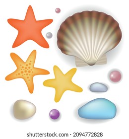 
Vector set of realistic icons of seashells and starfishes isolated. Beautiful sea stones, stars and a pearl shell.