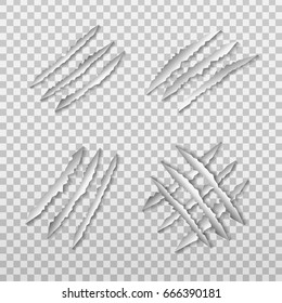 Vector set of realistic isolated lion claw scratch on the transparent background.