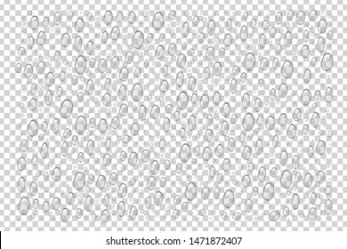 Vector set of realistic isolated water droplets for template decoration and covering on the transparent background.