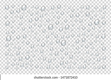 Vector set of realistic isolated water droplets for template decoration and covering on the transparent background.