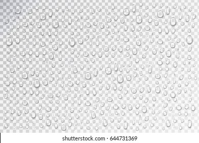 Vector Set Of Realistic Isolated Water Droplets On The Transparent Background.