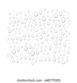 Vector set of realistic isolated water droplets on the white background.