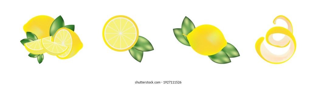 vector set of realistic lemons with leaves and peel of lemon