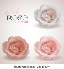 Vector set of realistic pink Roses with shadows, eps 10