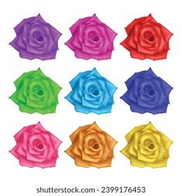 Conjunto vectorial de rosas realistas sobre un fondo blanco, rosas aisladas sobre un fondo blanco.