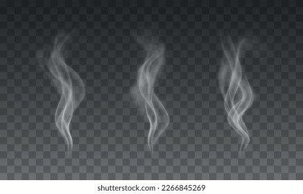 Vector set of realistic smoke effects on dark background