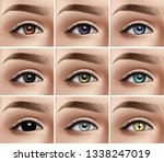 Vector set of realistic women eyes with  eyebrow of different types of colors and decorative contact lenses