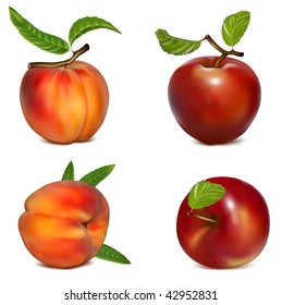 Vector set of red apples and ripe peaches.