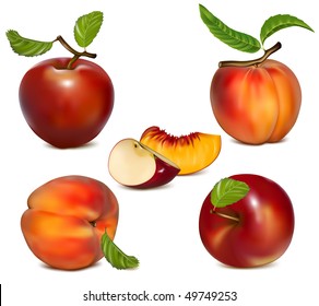 Vector set of red apples and ripe peaches.