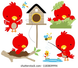 Vector set of red bird cartoon illustration in different activity
