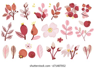 Vector set of red branches, leaves and flowers. 