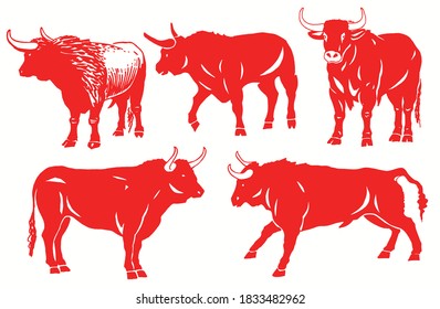 Vector set of red bulls isolated on white background, graphical illustration