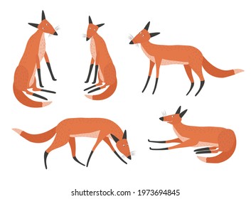 Vector set with red foxes in different poses isolated on a white background. Hand drawn illustration.