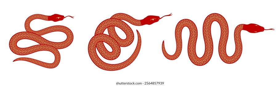 Vector set red and gold snake with Chinese pattern