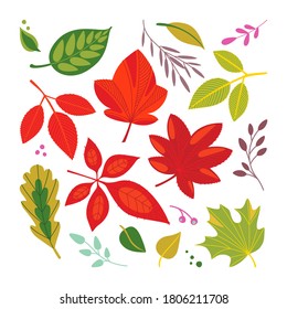 Conjunto de vectores con hojas de otoño rojas y verdes