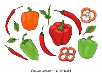 Vector set with red, green, orange pepper. Isolated fresh pepper, paprika, chilli with stems, leaves, seeds, whole and sliced. Summer harvest. For template, cards, menu, dietary brochures, spices.