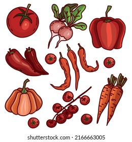 Conjunto vectorial de verduras rojas y naranjas: tomate, pimienta, rojizo, chilly, zanahoria, calabaza. Colección dibujada a mano con contorno negro aislado en fondo blanco