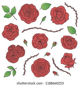 Vector set of red rose flowers with buds, leaves and thorny stems contours isolated on the white background. Hand drawn floral collection of blossoms in sketchy style.